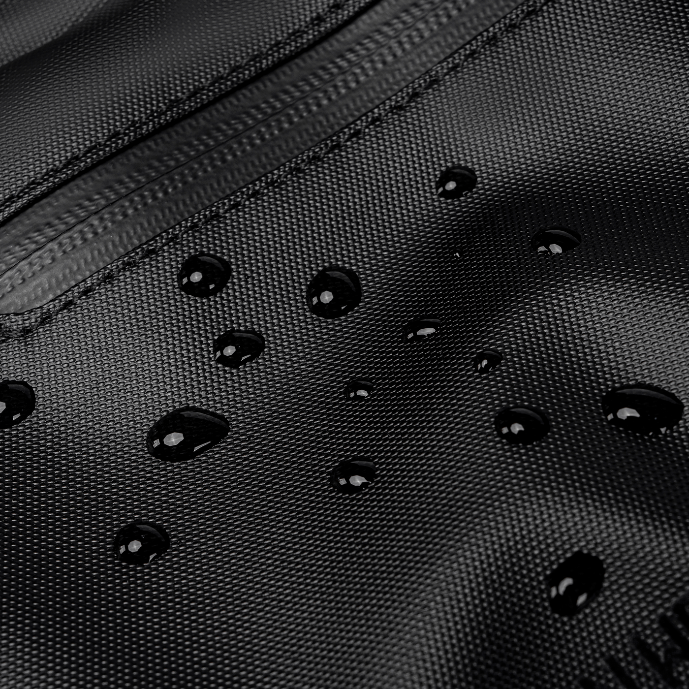 GXB00898 Golden Wolf